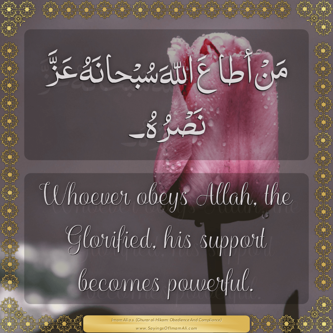 Whoever obeys Allah, the Glorified, his support becomes powerful.